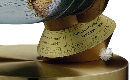 detail 3 of The Planet Earth (14 inch)